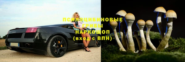 PSILOCYBIN Ладушкин