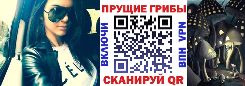 Псилоцибиновые грибы Cubensis  Южно-Сахалинск 