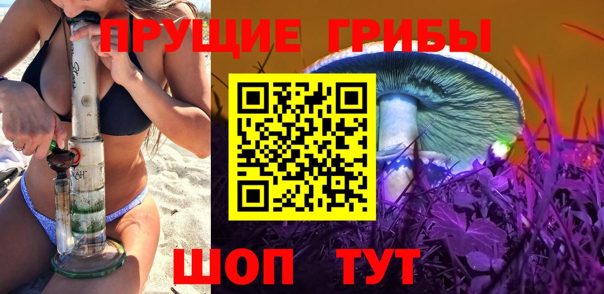 Галлюциногенные грибы Magic Shrooms  Вход с VPN  закладка  Южно-Сахалинск 